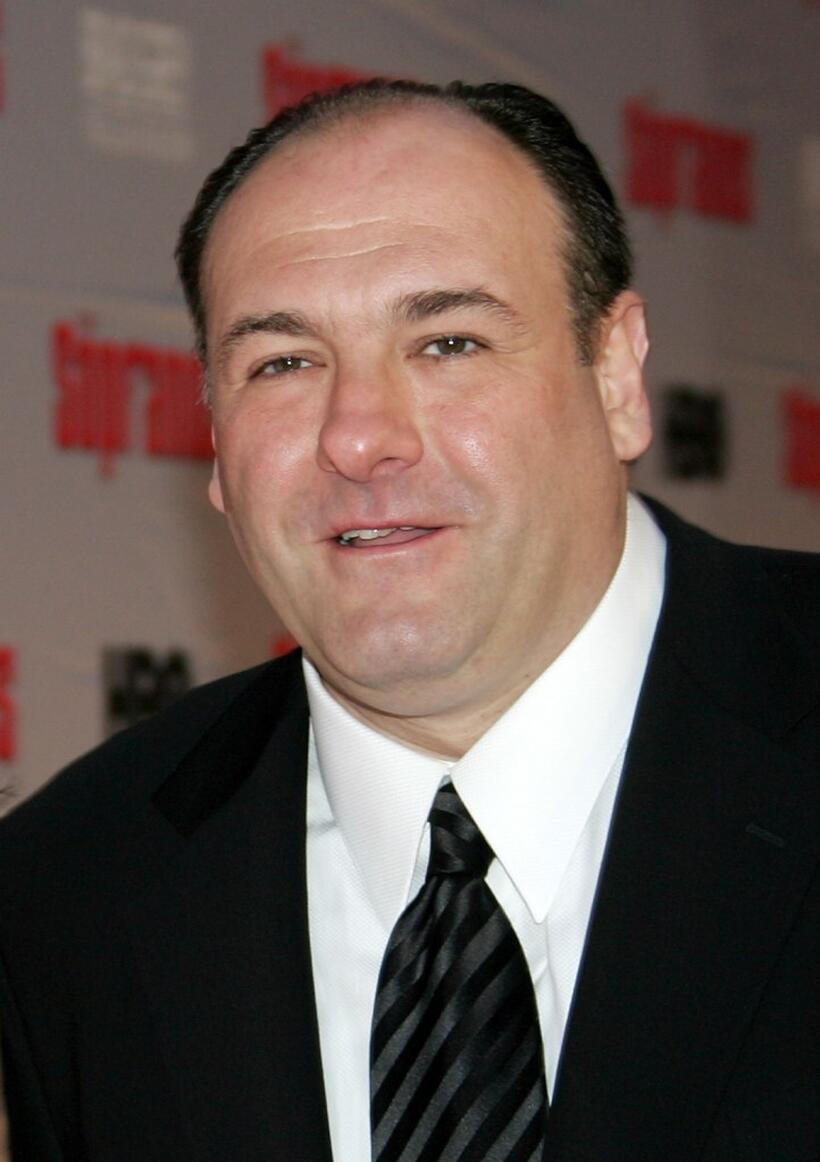 James Gandolfini at the HBO premiere of "The Sopranos".