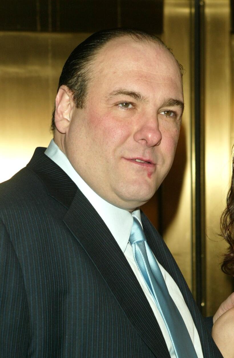 James Gandolfini at the premiere of "The Sopranos".
