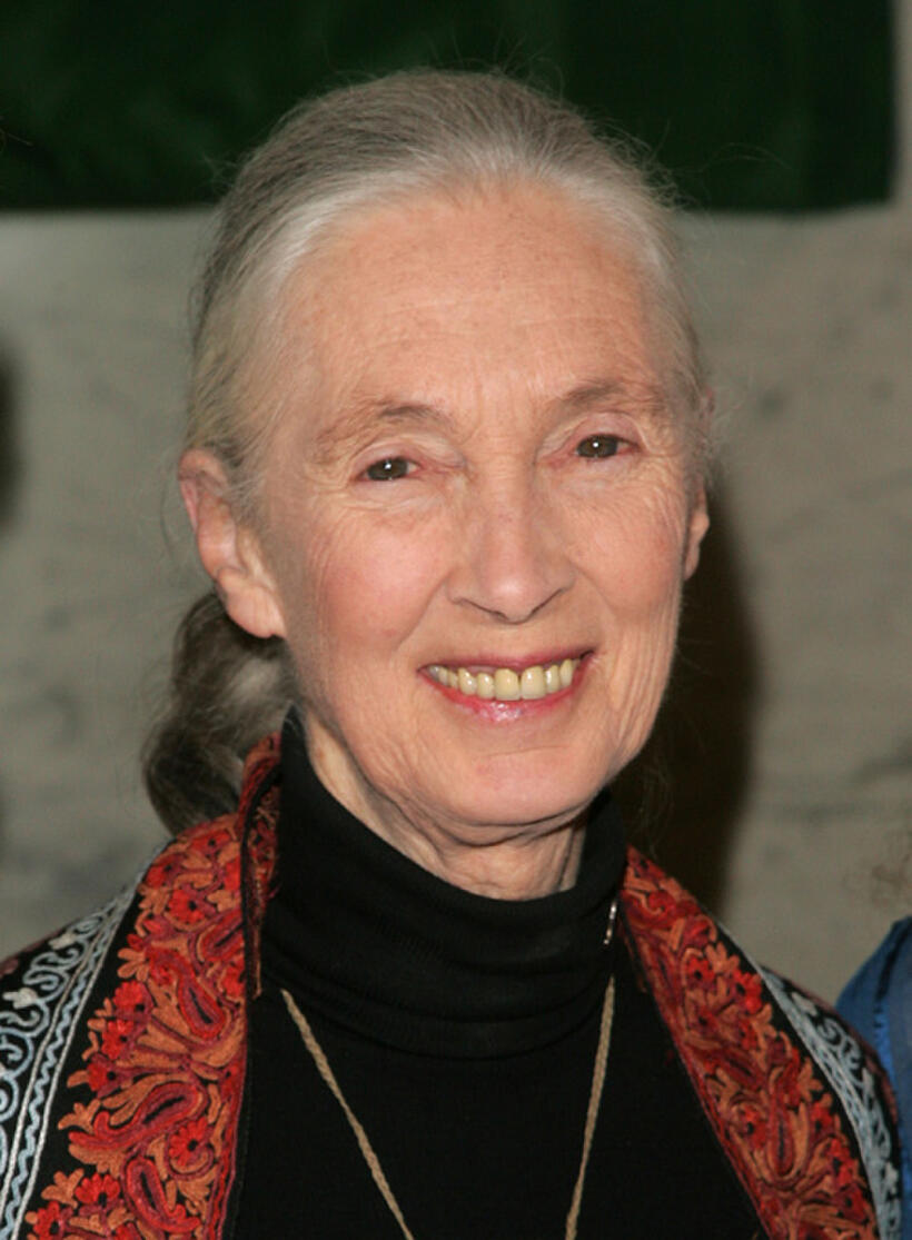 Jane Goodall at the Wings WorldQuest 2007 Women Of Discovery Awards Gala in New York.