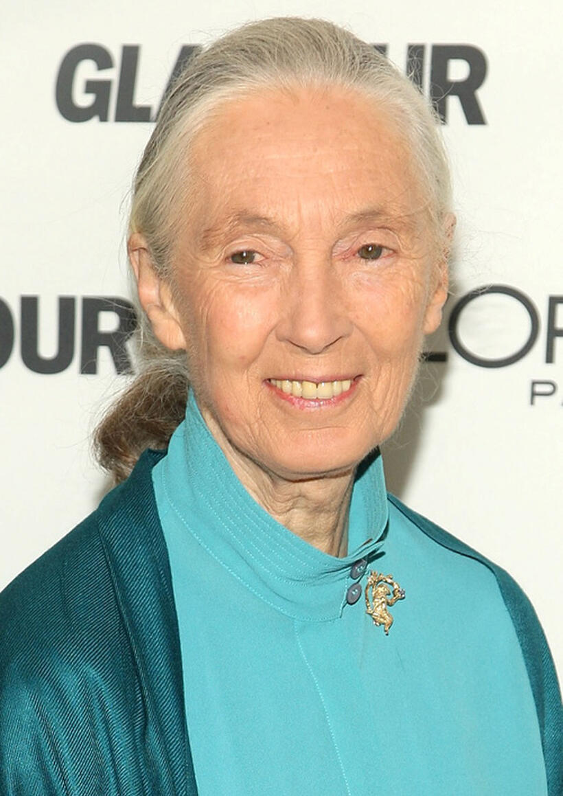 Jane Goodall at the 19th Annual GLAMOUR Women Of The Year Awards in New York.