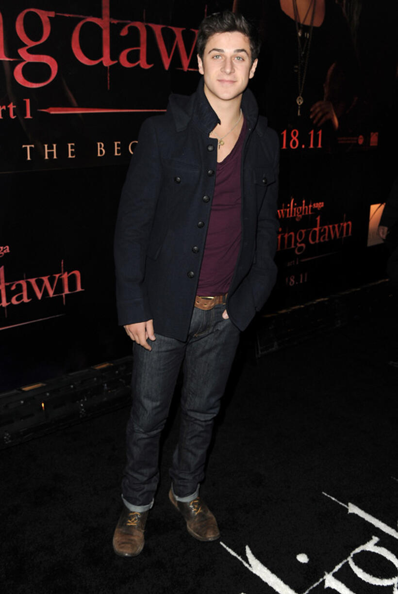 David Henrie at the California premiere of "The Twilight Saga: Breaking Dawn - Part 1."