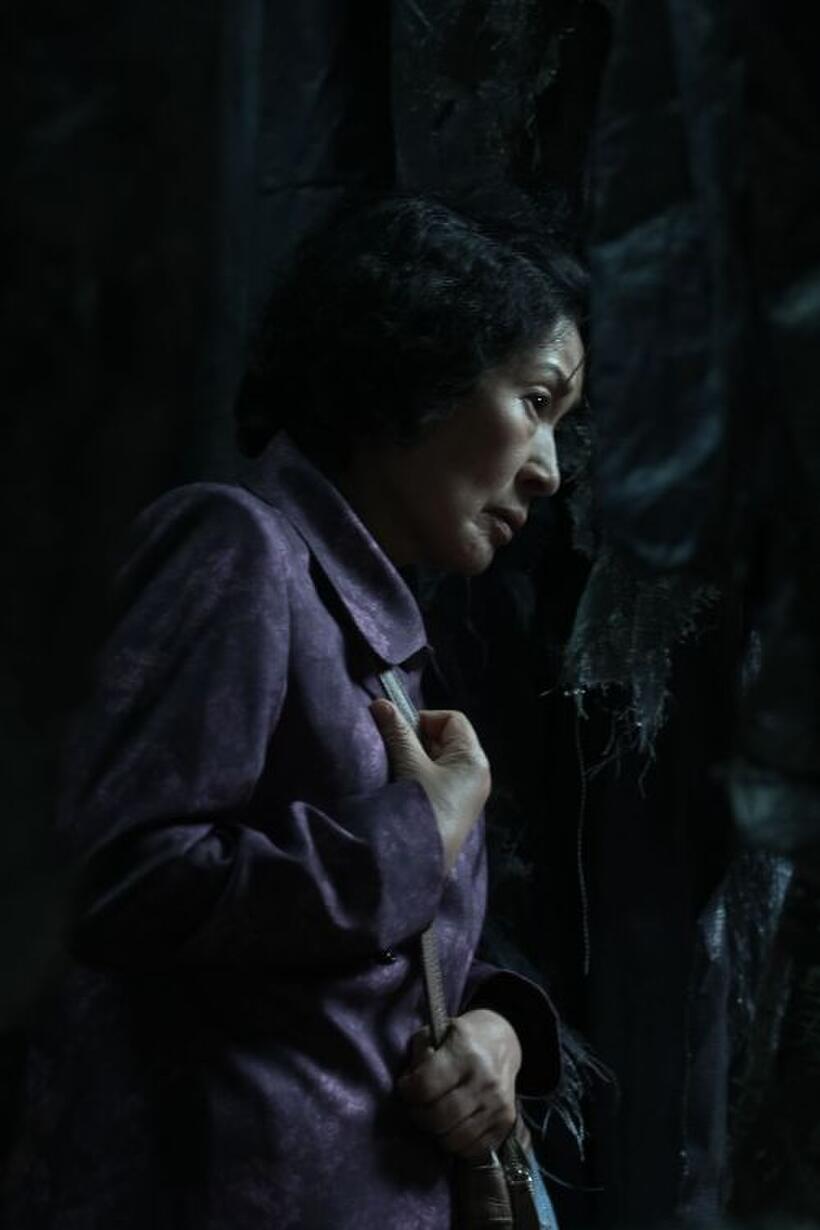 Kim Hye-Ja in "Mother."