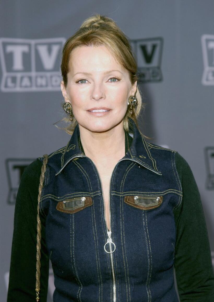 Cheryl Ladd at the TV Land Awards.