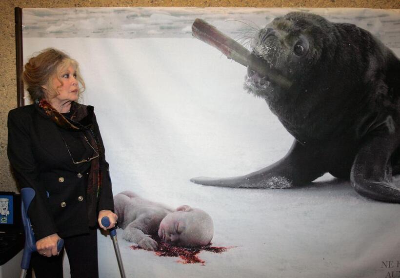 Brigitte Bardot at a campaign against Seal-Hunting.