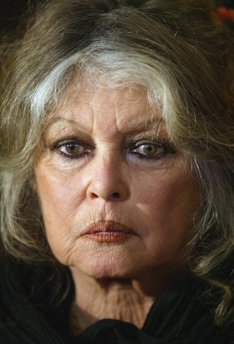 Brigitte Bardot as a spokesperson for animal rights in Paris.