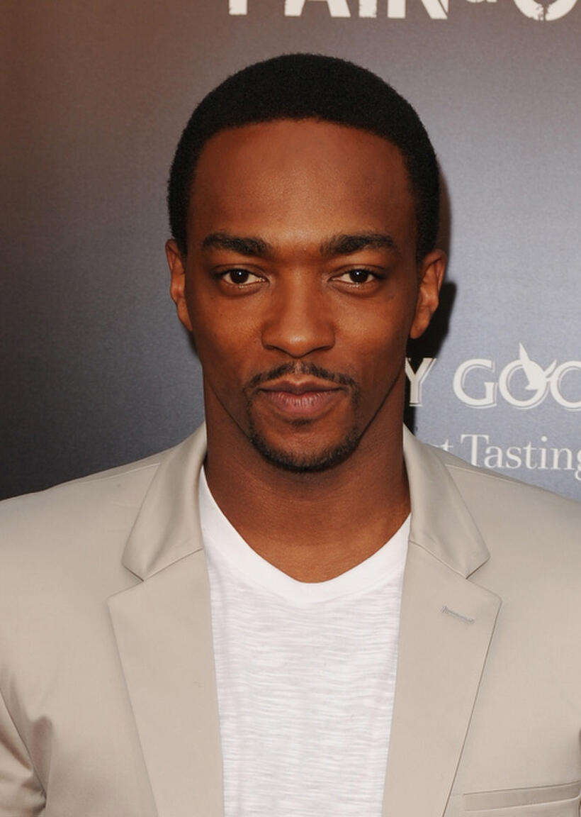 Anthony Mackie at the Florida premiere of "Pain & Gain."