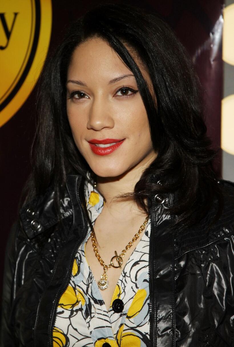 Judy Marte at the 2008 Hispanic Federations Award Winners Announcement cocktail reception.
