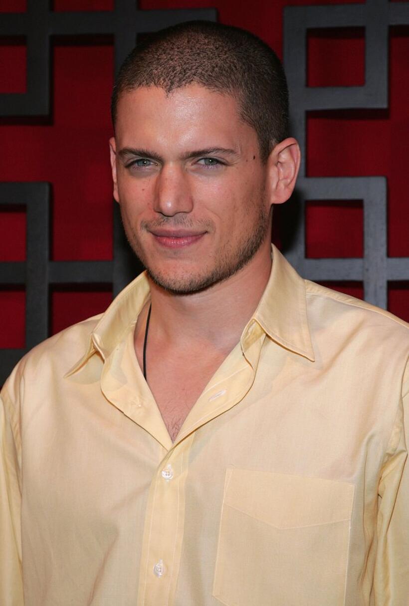 Wentworth Miller at the FOX Broadcasting Company Upfront.