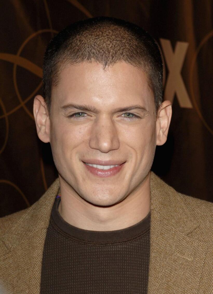 Wentworth Miller at the Fox Winter TCA party.