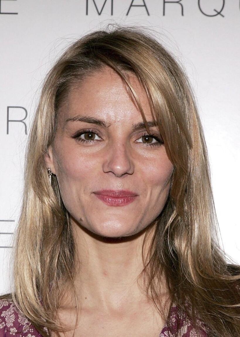 Susan Misner at the LaSalleHolland Tribeca Film Festival party.