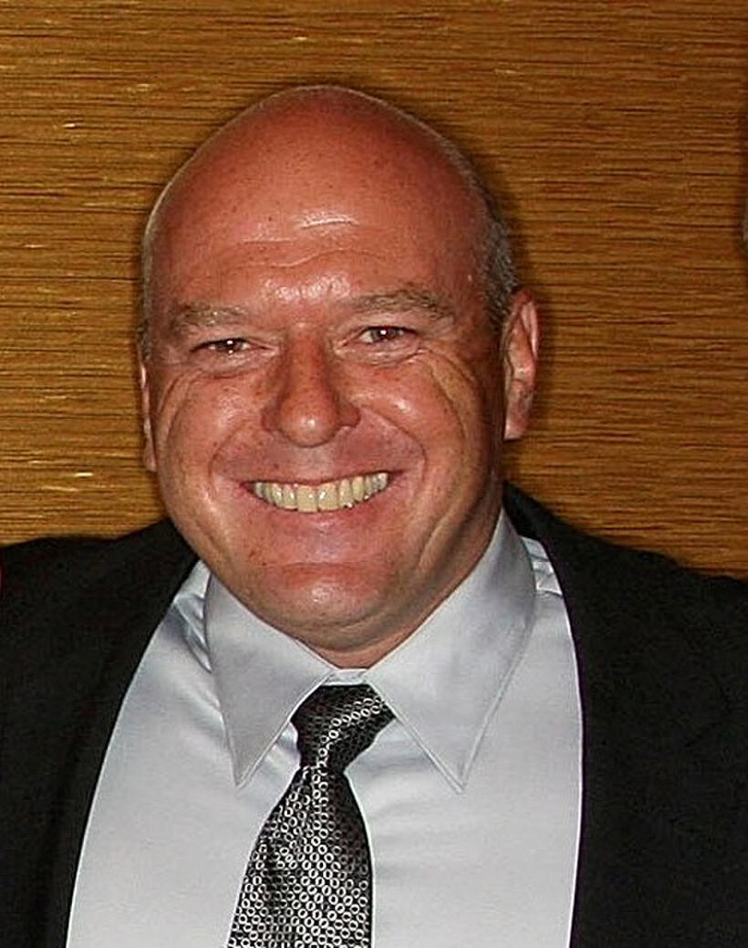 Dean Norris at the 25th Annual Television Critics Association Awards in California.