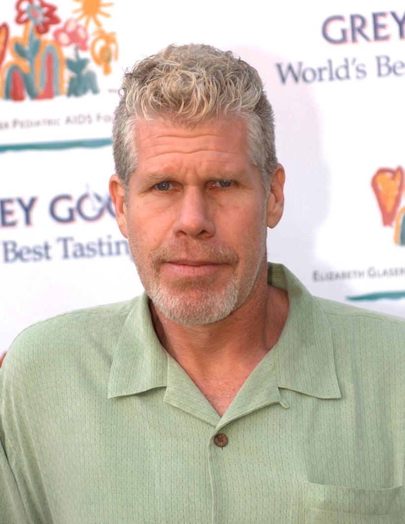 Ron Perlman at the American Cinematophers 22nd Annual Outstanding Achievement Awards.