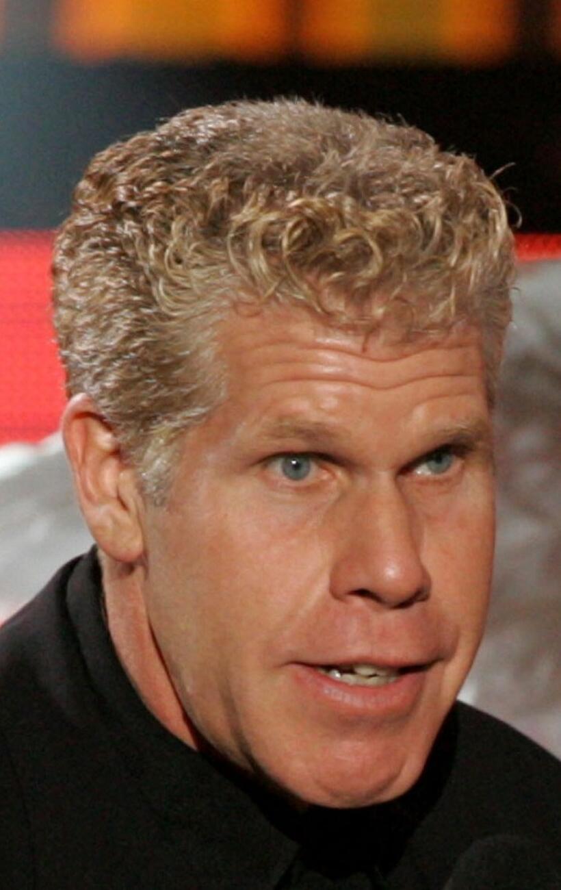 Ron Perlman at the 2004 Spike TV Video Game Awards.