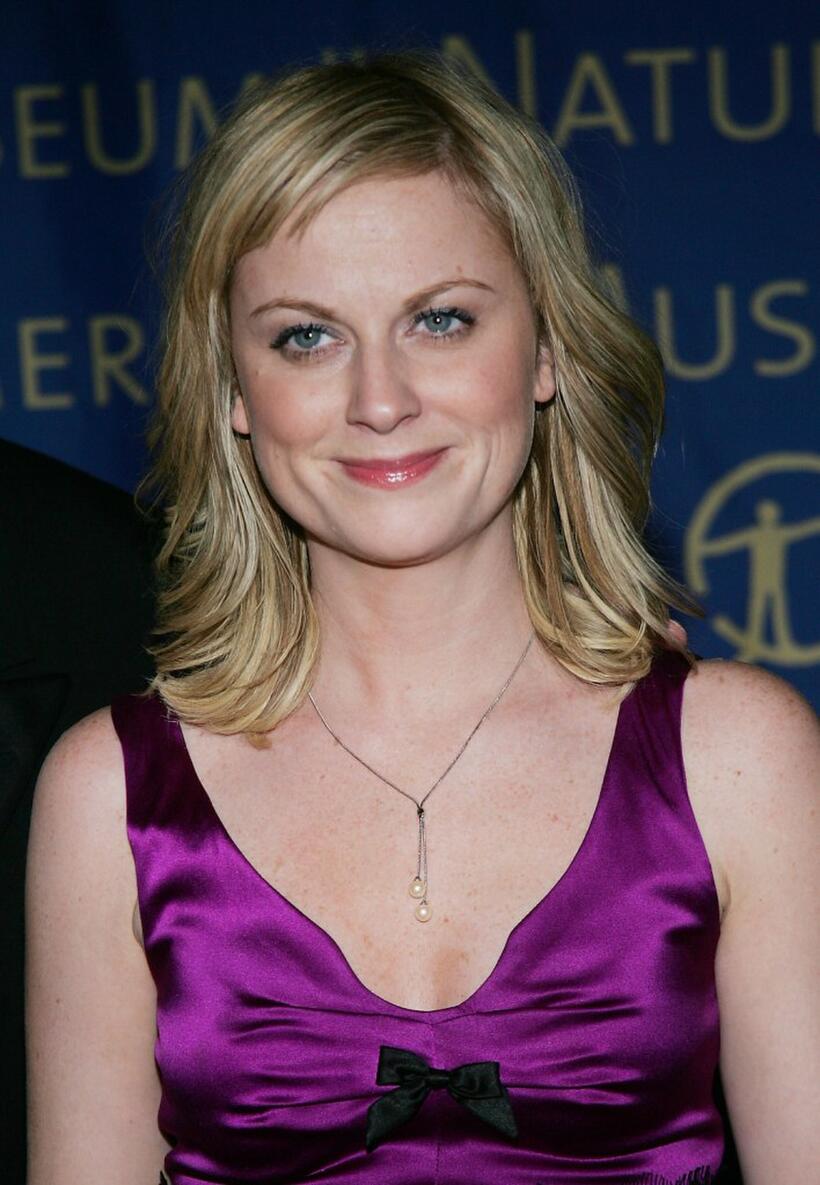 Amy Poehler at the Musuem of Natural Historys Winter Dance Benefit "Celebrating Heavenly Bodies of the Universe."