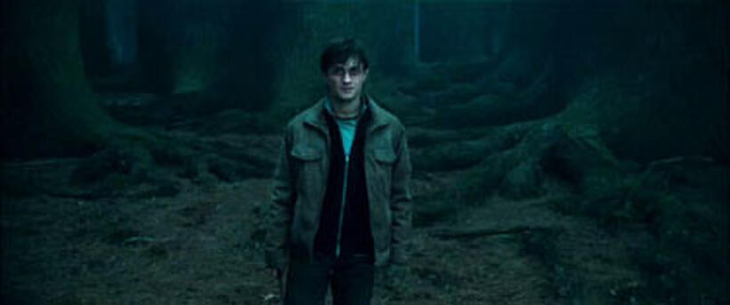 Daniel Radcliffe as Harry Potter in "Harry Potter and the Deathly Hallows: Part 1"