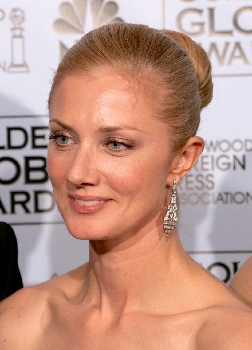 Joely Richardson at the 62nd Annual Golden Globe Awards.