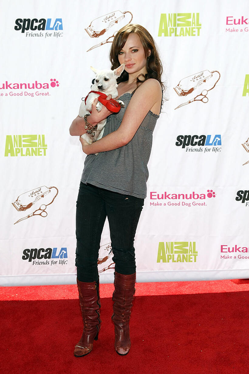 Ashley Rickards at the opening party of Artist Knox Luxury Grooming Pet Salon in California.