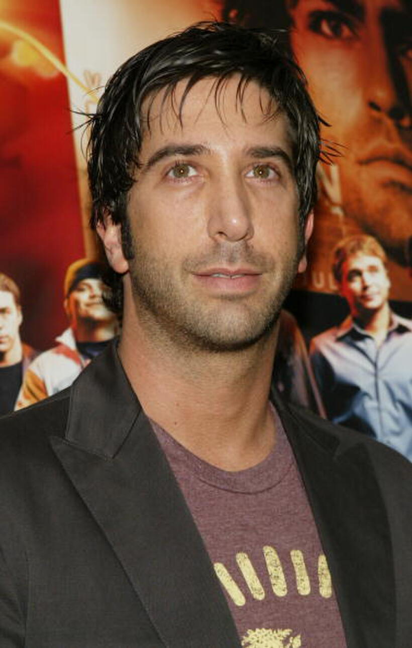 David Schwimmer at the premiere of "Entourage".
