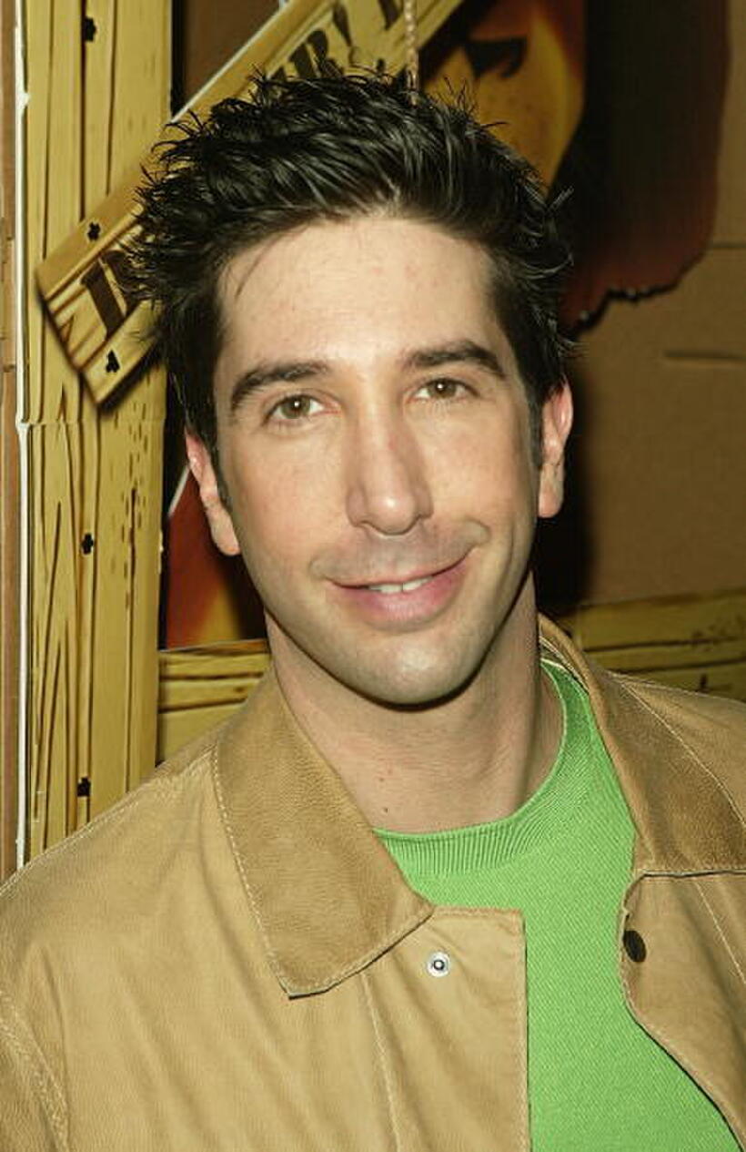 David Schwimmer at the premiere of "Madagascar".