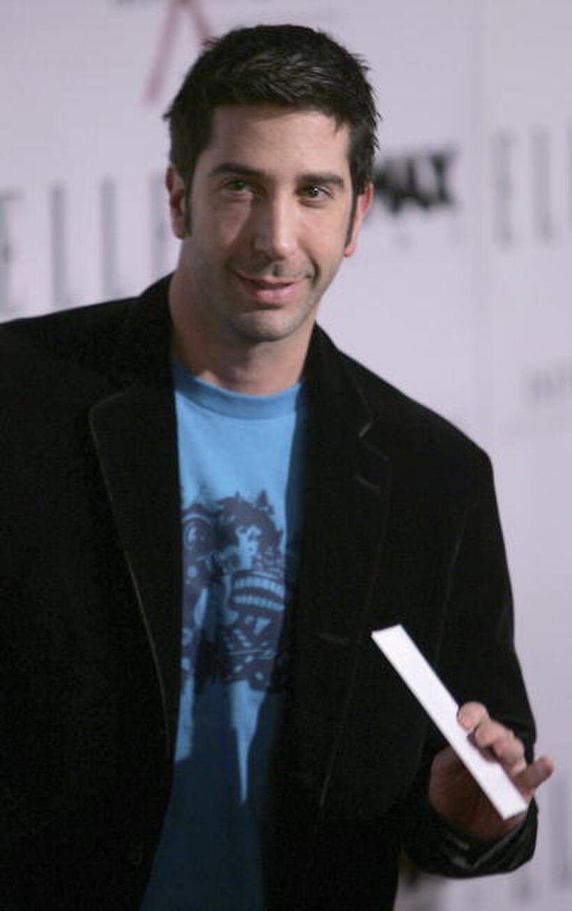 David Schwimmer at the premiere of "The Aviator".