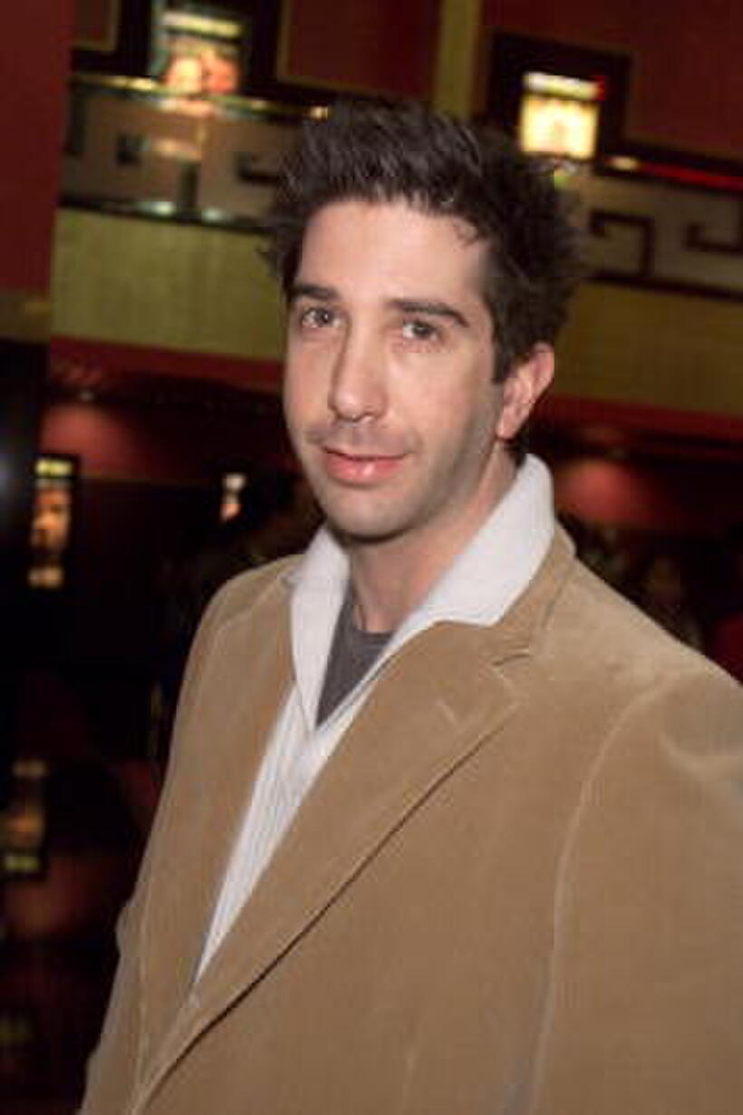 David Schwimmer at the premiere of "The Dancer Upstairs".