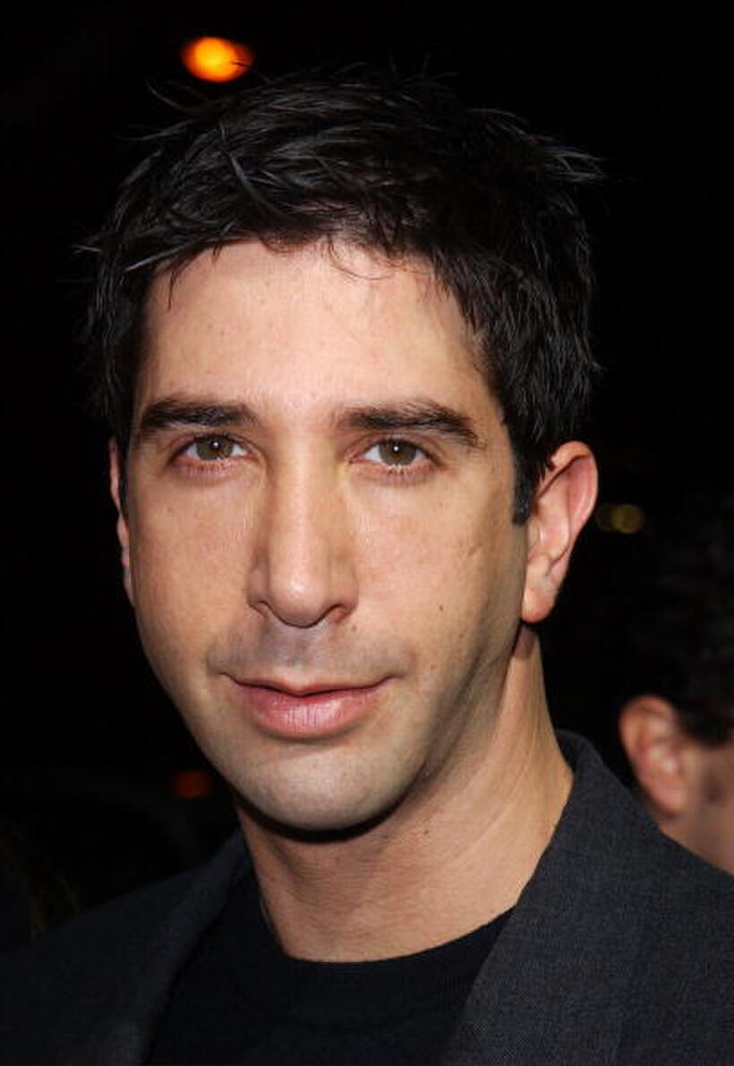 David Schwimmer at the premiere of "Uprising".