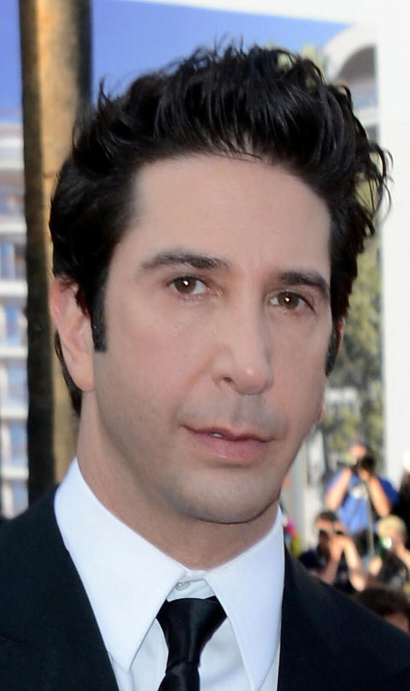 David Schwimmer at the France premiere of "Madagascar 3: Europe's Most Wanted."
