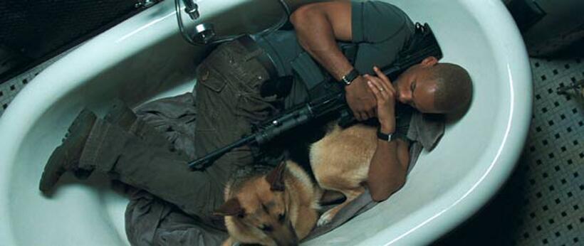 Will Smith in "I Am Legend."