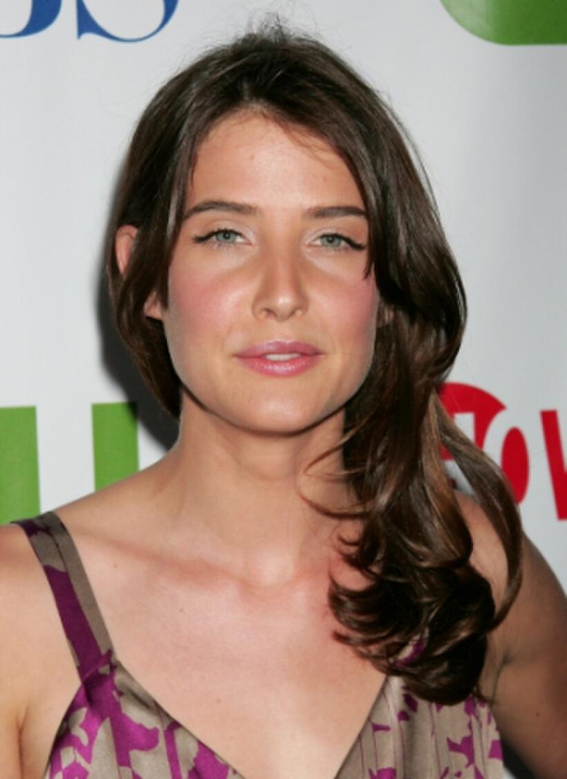 Cobie Smulders at the CW/CBS/Showtime/CBS Television TCA party.