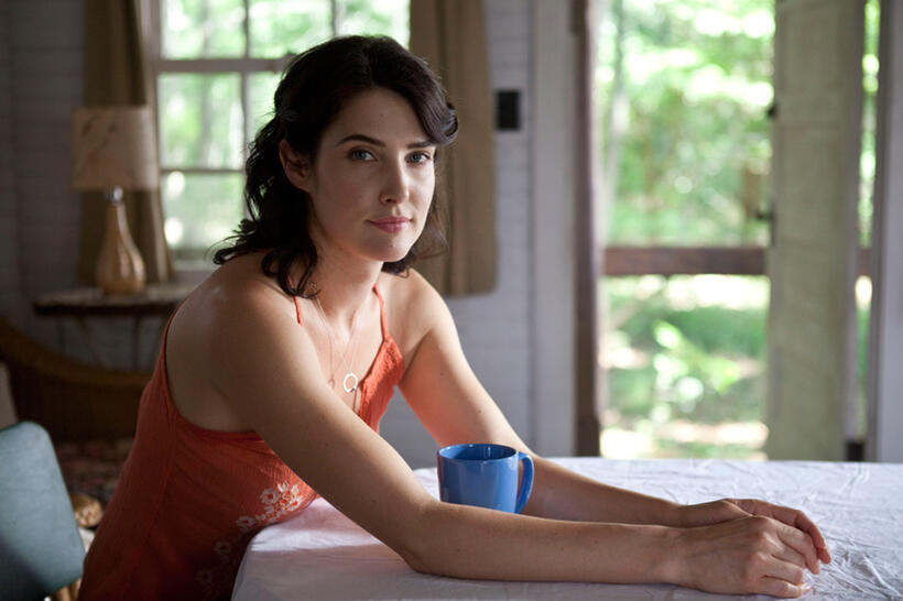 Colbie Smulders in "Safe Haven."