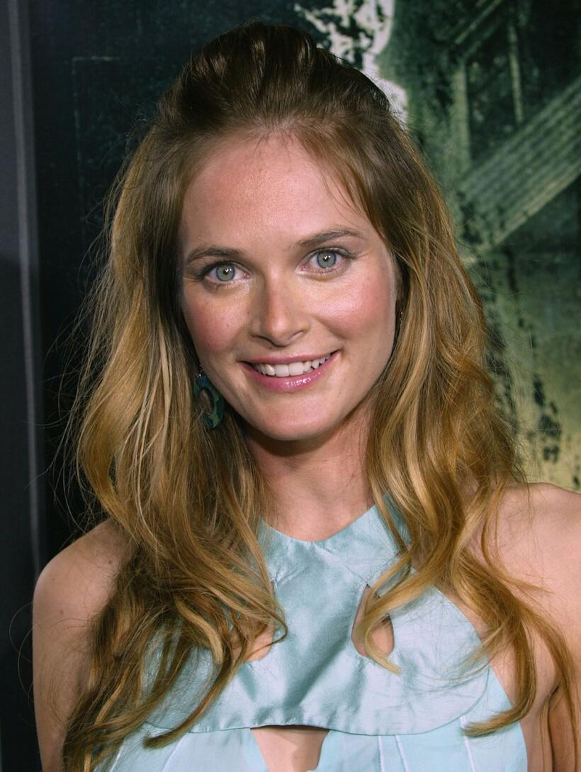 Rachel Blanchard at the premiere of "The Amityville Horror."