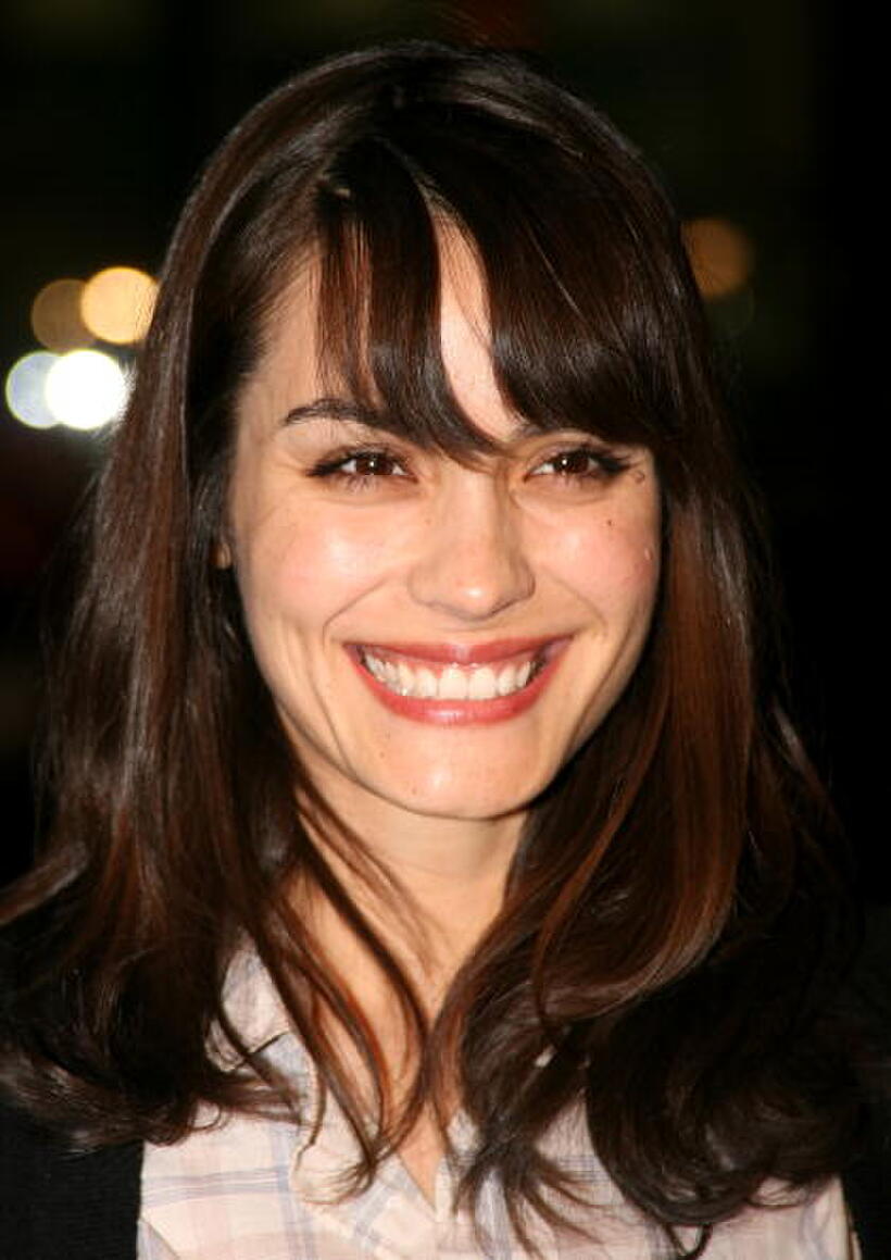 Shannyn Sossamon at the Hollywood premiere of "P.S. I Love You." 