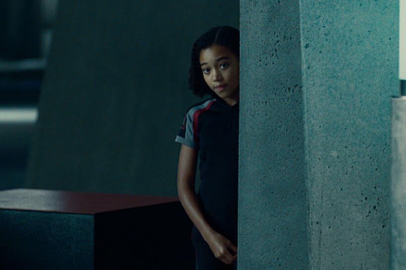 Amandla Stenberg as Rue in ``The Hunger Games.''