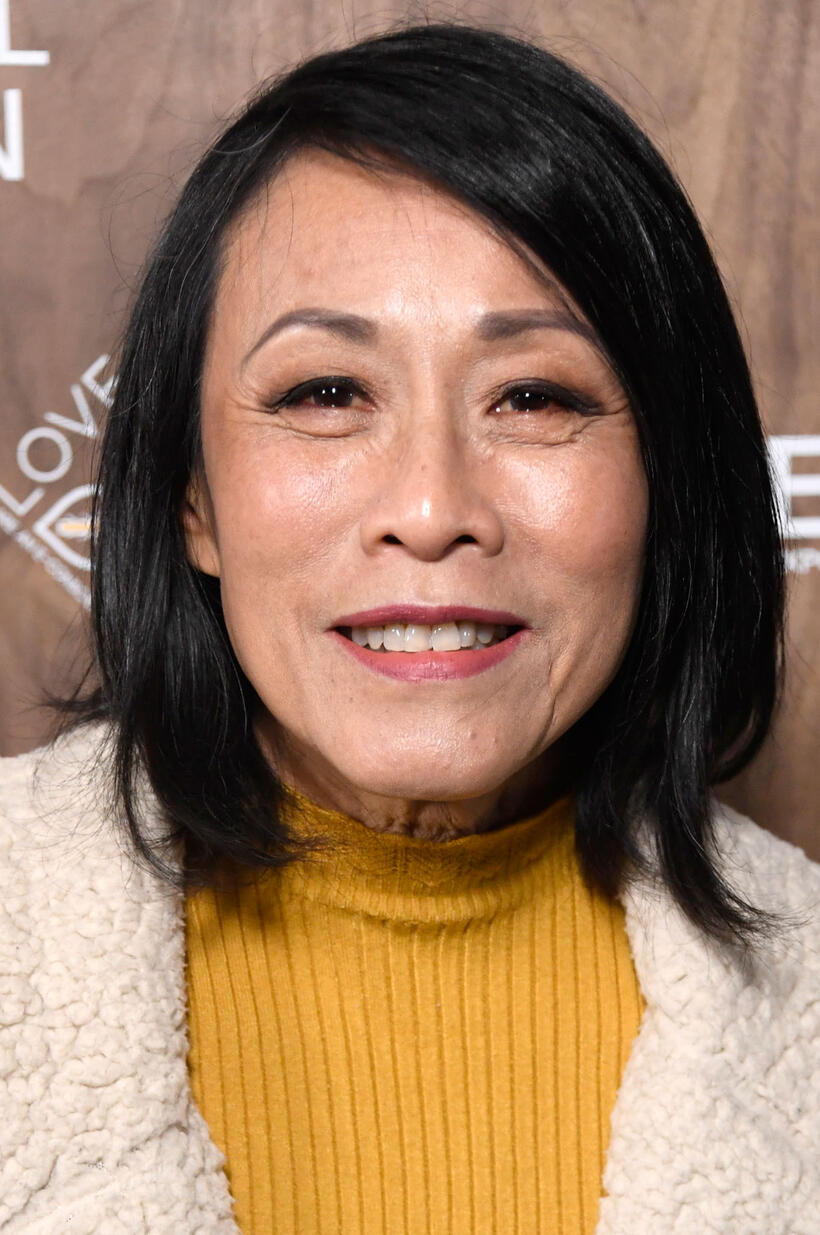Tan Kheng Hua at the Global Green 2019 Pre-Oscar Gala in Los Angeles.