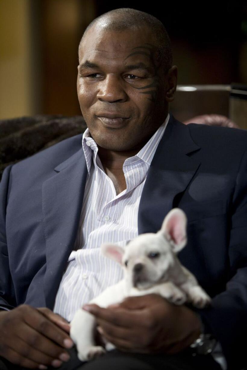 Mike Tyson as himself in "The Hangover."