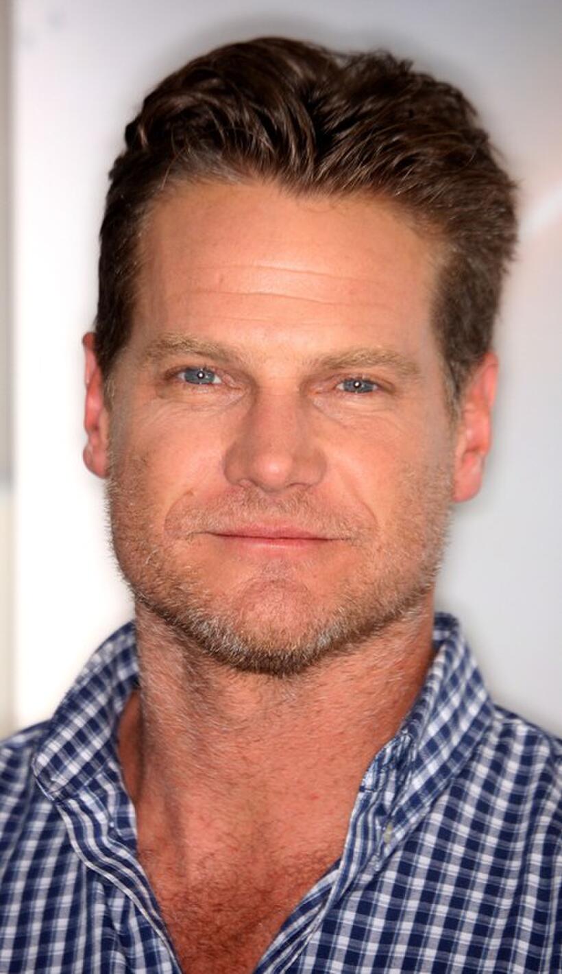 Brian Van Holt at the Disney and ABC Television Group Summer press junket.