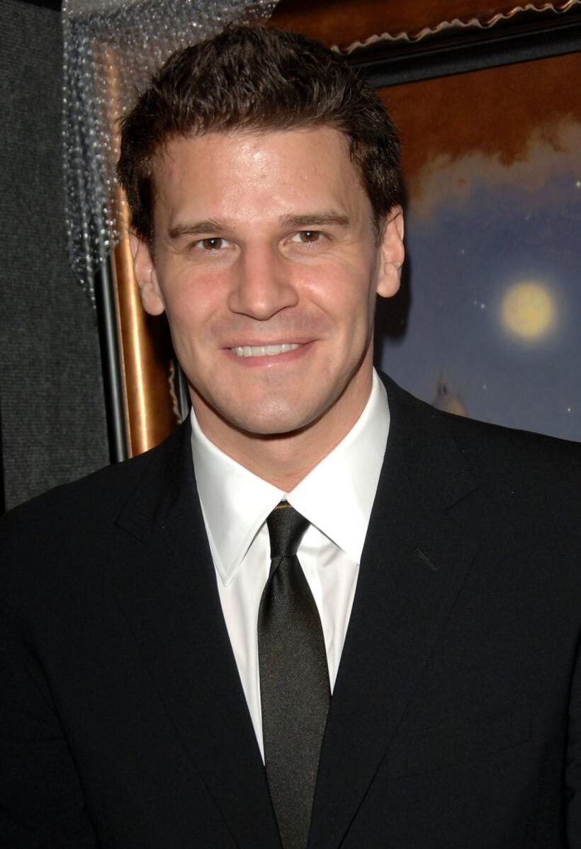 David Boreanaz at the 14th Annual Diversity Awards Gala.