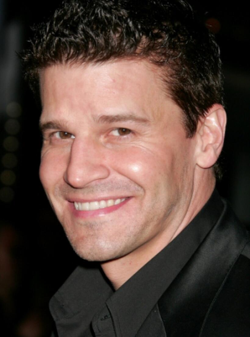 David Boreanaz at the Los Angeles screening of "Trembled Blossoms."