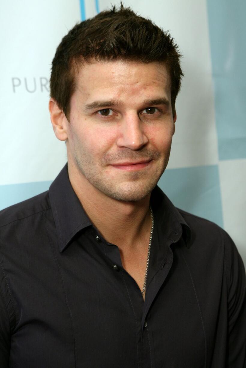 David Boreanaz at the Platinum Guild International USA Party.