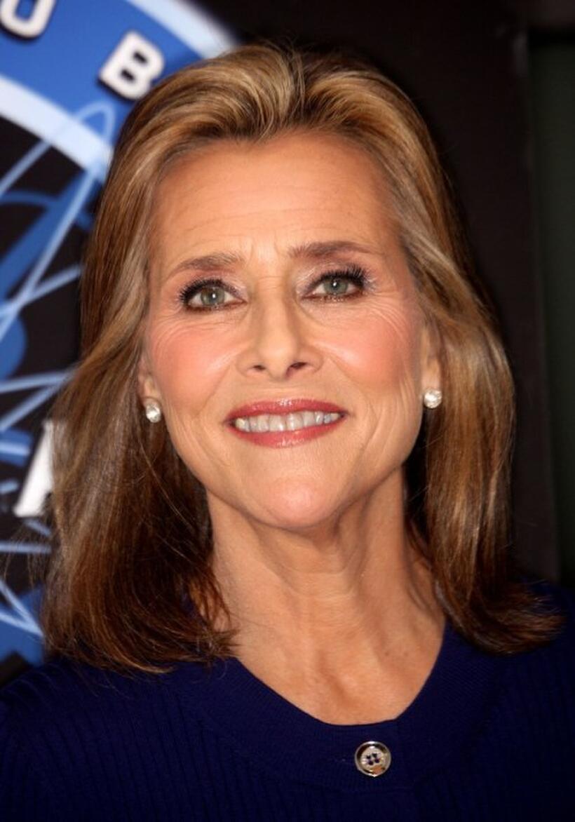 Meredith Vieira at the Disney and ABC Television Group Summer press junket.