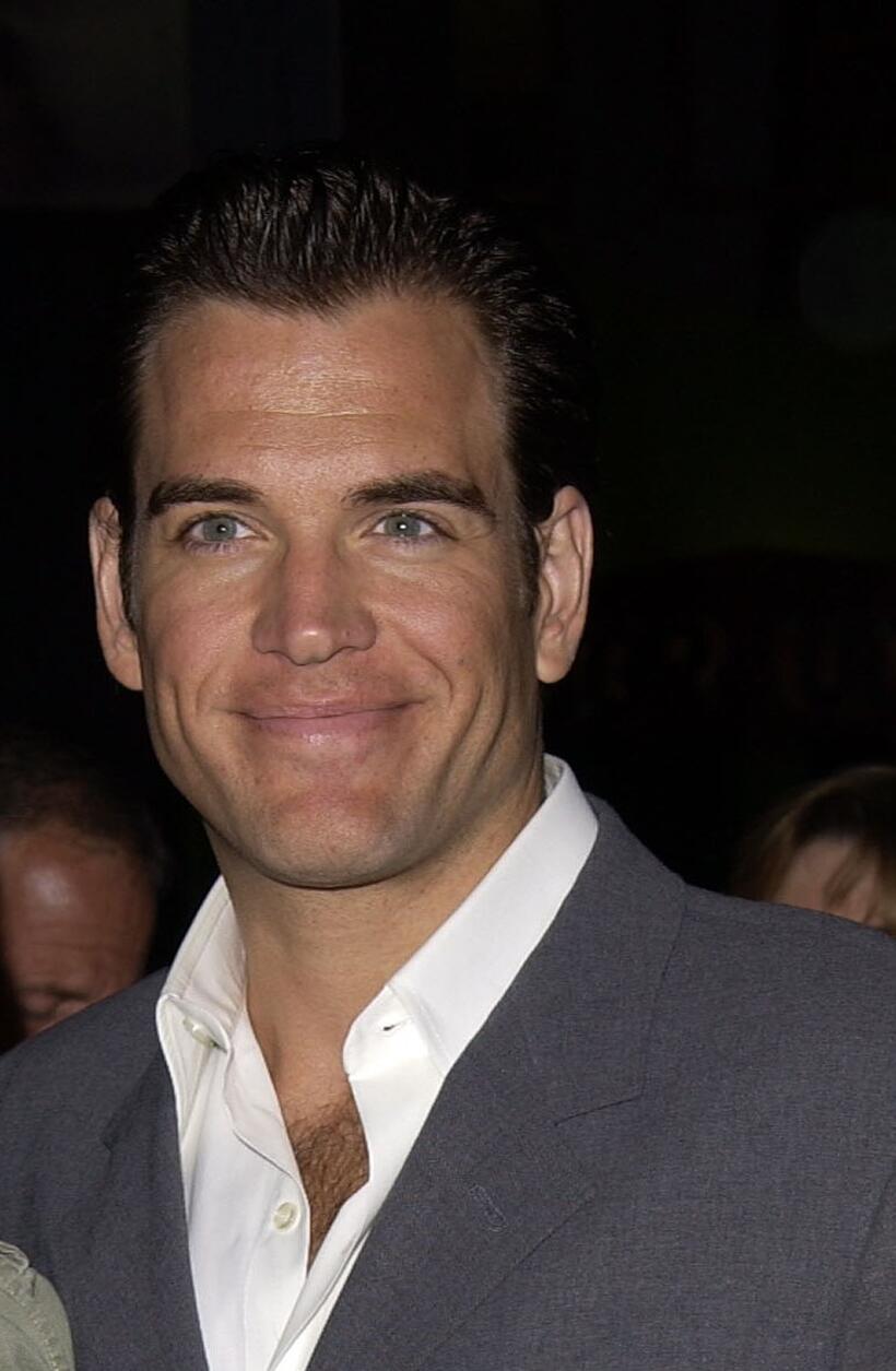 Michael Weatherly at the premiere of "Ghosts of the Abyss."