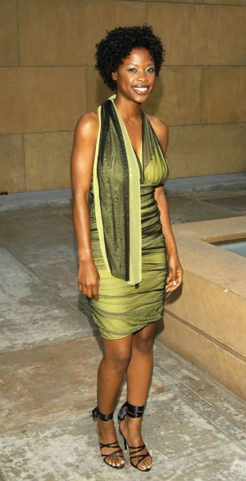 Karimah Westbrook at the Los Angeles premiere of "BAADASSSSS!"