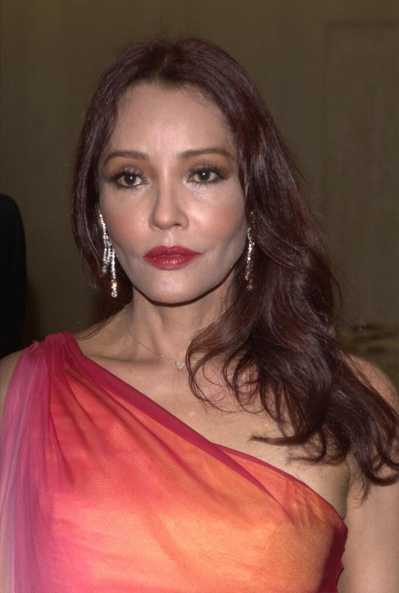 Barbara Carrera at the 16th Annual Imagen Awards.