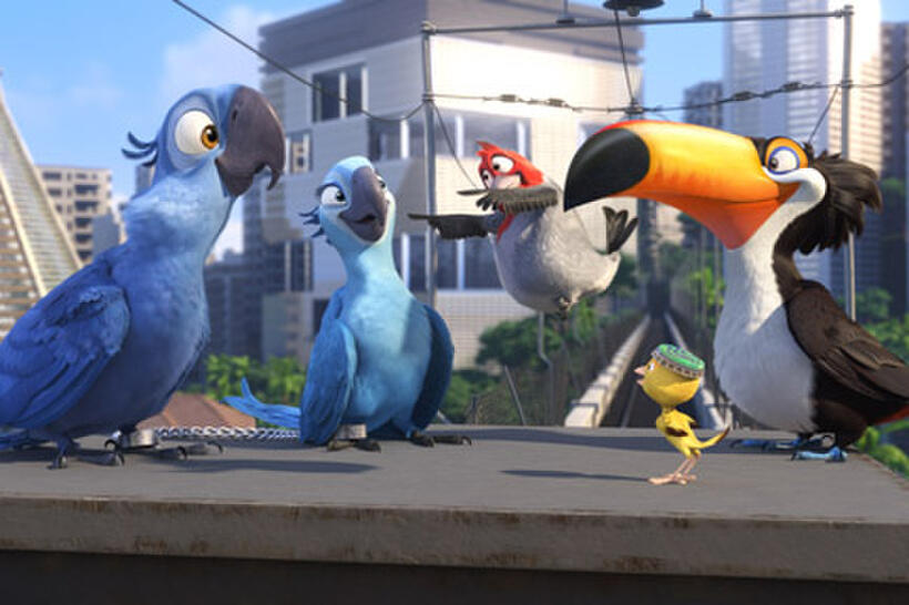 Blu, Jewel, Pedro, Rafael and Nico in "Rio."