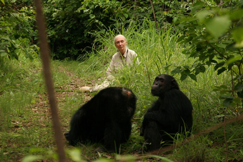 A scene from "Jane's Journey."