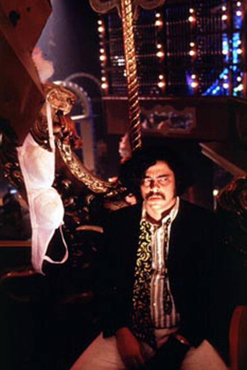 Benicio Del Toro as Gonzo.