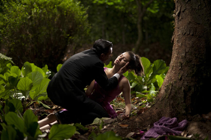 Antonio Banderas as Dr. Robert Ledgard and Blanca Suarez as Norma in ``The Skin I Live In.''