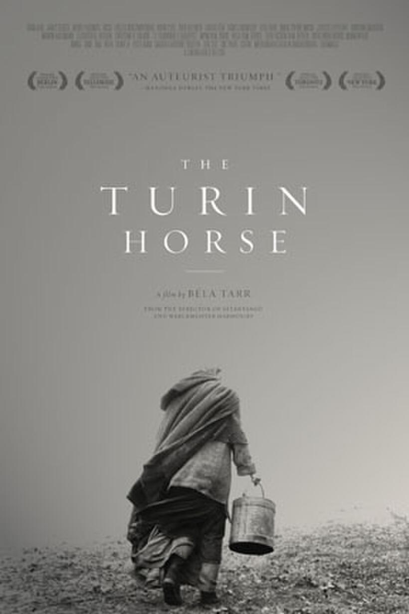 Poster art for "The Turin Horse."