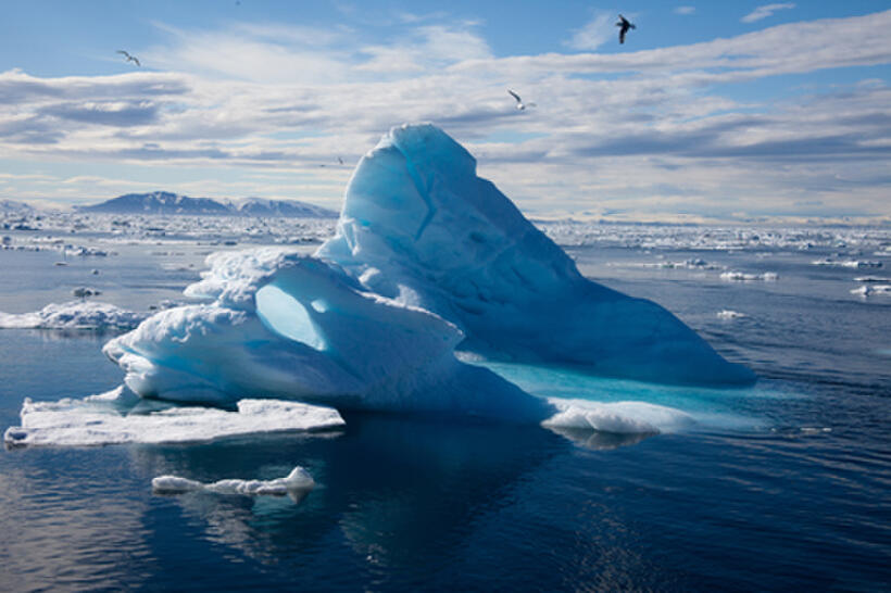 A scene from ``To the Arctic.''