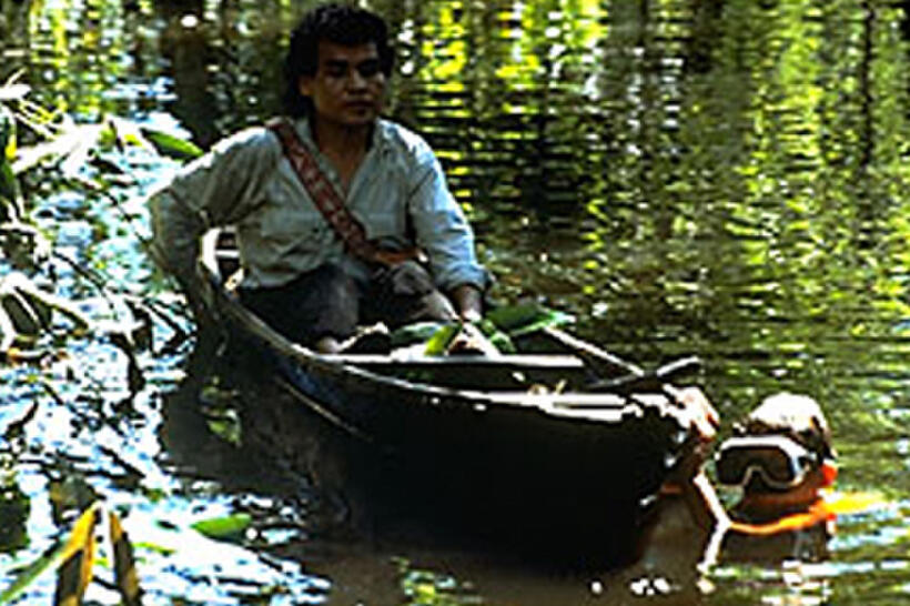 A scene from "Amazon."